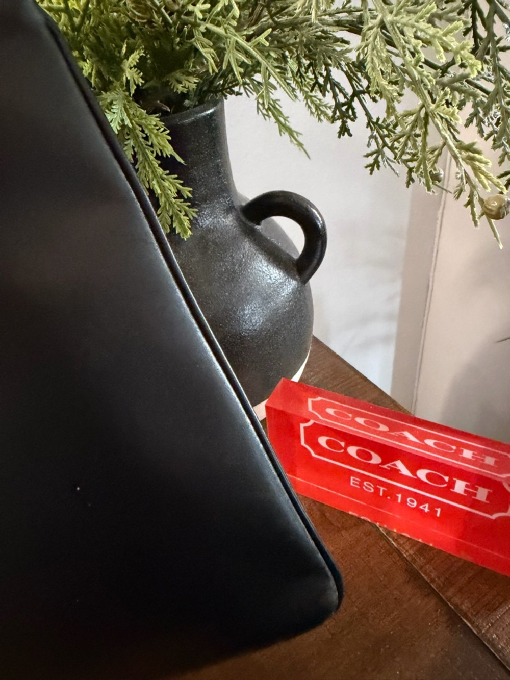 Coach Rainbow Horse and Carriage Large Pouch (NWT) - Picture 4 of 11